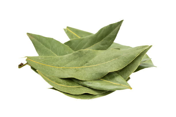 Dried Bay Leaf