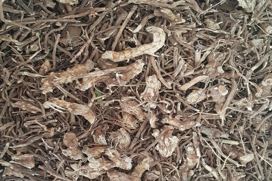 Butcher's Broom Root