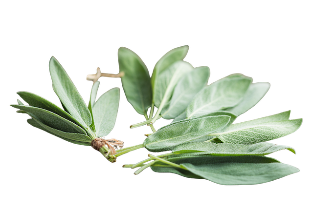SAGE